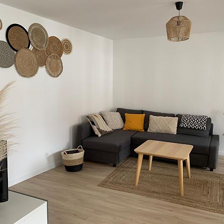 Les Rives Du Chateau, 90M2, Vue Sur Le Canal Saverne Exterior foto