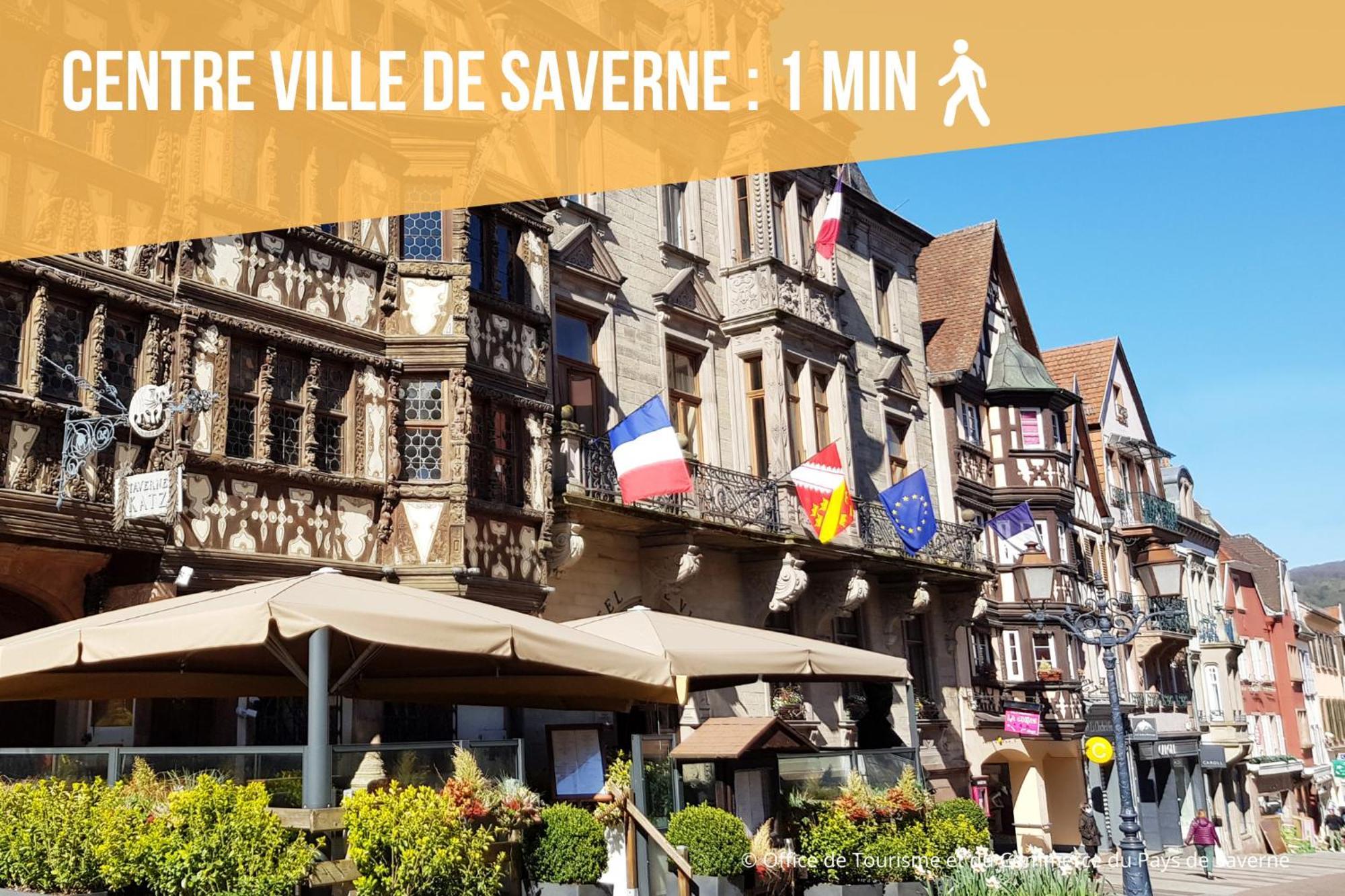 Les Rives Du Chateau, 90M2, Vue Sur Le Canal Saverne Exterior foto