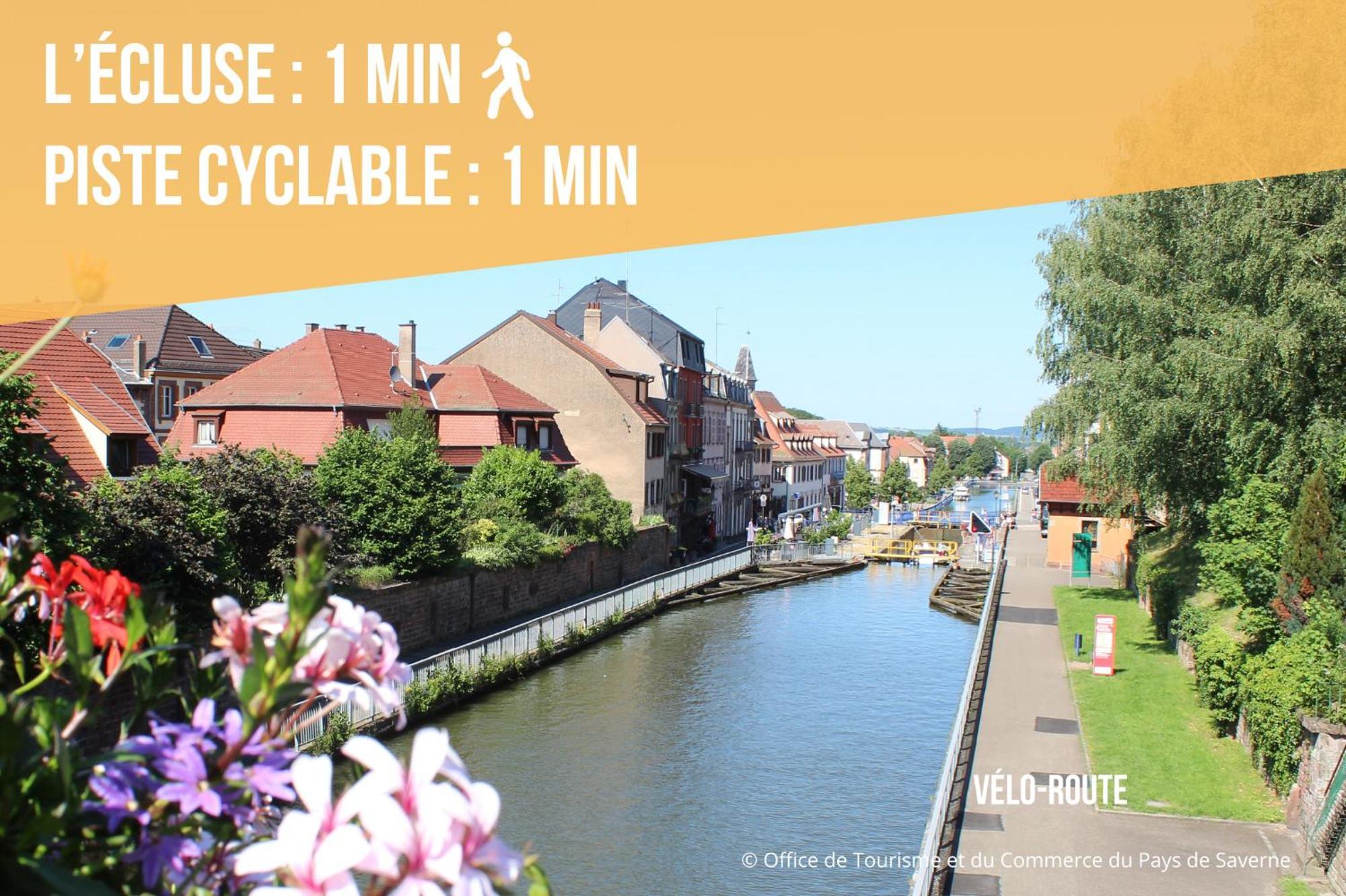 Les Rives Du Chateau, 90M2, Vue Sur Le Canal Saverne Exterior foto